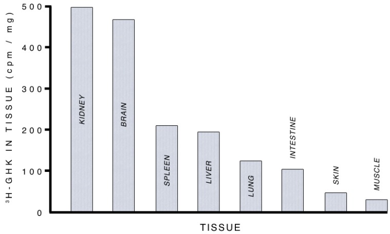 GHK-Cu, Cognition and Nervous System Function