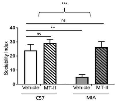 Melanotan 2 and Autism