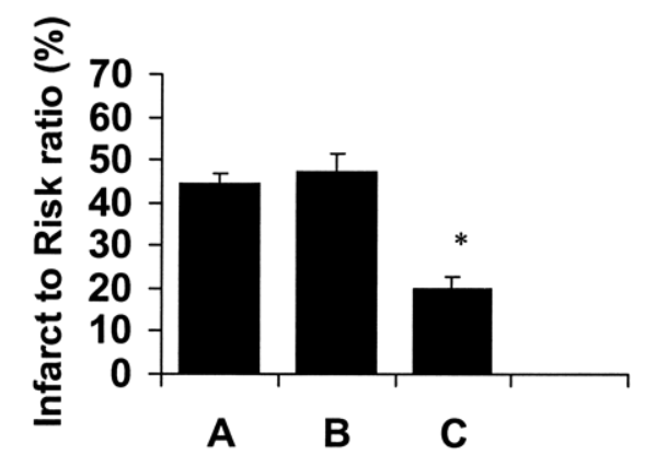 Potential Cardiovascular Benefits of GLP-1
